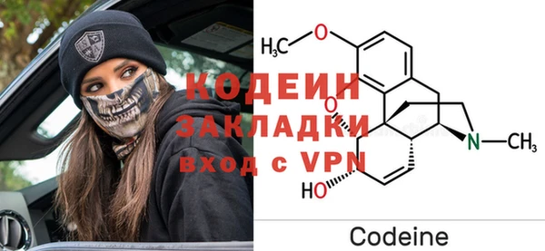 стаф Богданович