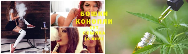 стаф Богданович