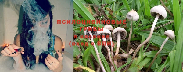 ALPHA PVP Бородино