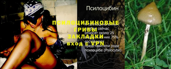 ALPHA PVP Бронницы