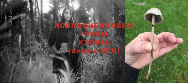 ALPHA PVP Бородино