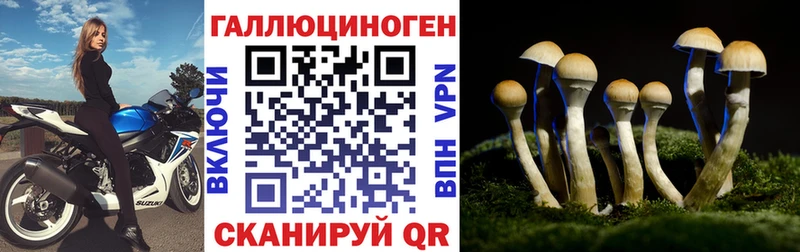 Галлюциногенные грибы Psilocybe  Кириши 